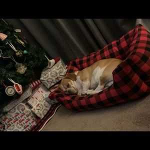 Meet your Posher, Kera